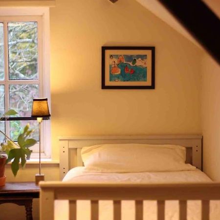 Trinity Annexe An Adorable First Floor Light And Lofty Space Within An Aonb Godmanstone Екстериор снимка