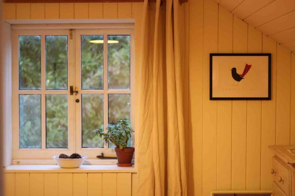 Trinity Annexe An Adorable First Floor Light And Lofty Space Within An Aonb Godmanstone Екстериор снимка