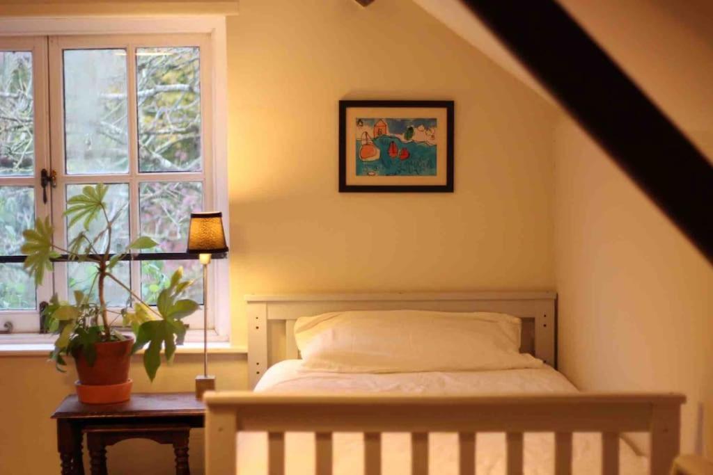 Trinity Annexe An Adorable First Floor Light And Lofty Space Within An Aonb Godmanstone Екстериор снимка